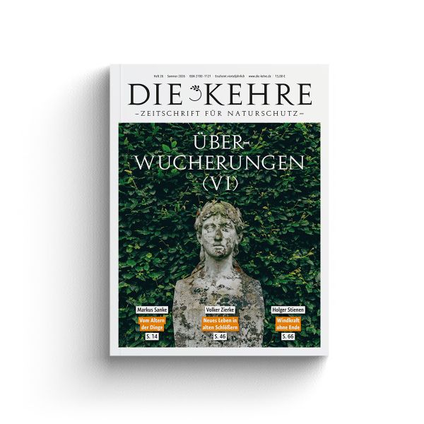 Überwucherungen VI | Die Kehre | Heft 26