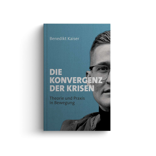 Die Konvergenz der Krisen