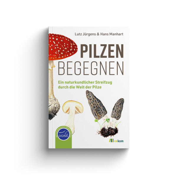 Pilzen begegnen